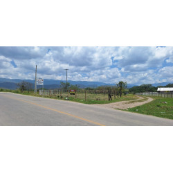 CARRETERA OCOSINGO-ALTAMIRANO KM.3+00 LOTE NÚMERO 1 DE LA MANZANA 1