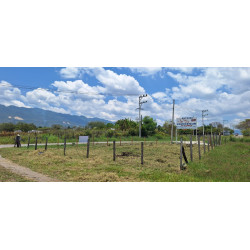 CARRETERA OCOSINGO-ALTAMIRANO KM.3+00 LOTE NÚMERO 1 DE LA MANZANA 1