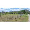 CARRETERA OCOSINGO-ALTAMIRANO KM.3+00 LOTE NÚMERO 1 DE LA MANZANA 1