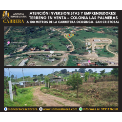COLONIA LAS PALMERAS, OCOSINGO CHIAPAS