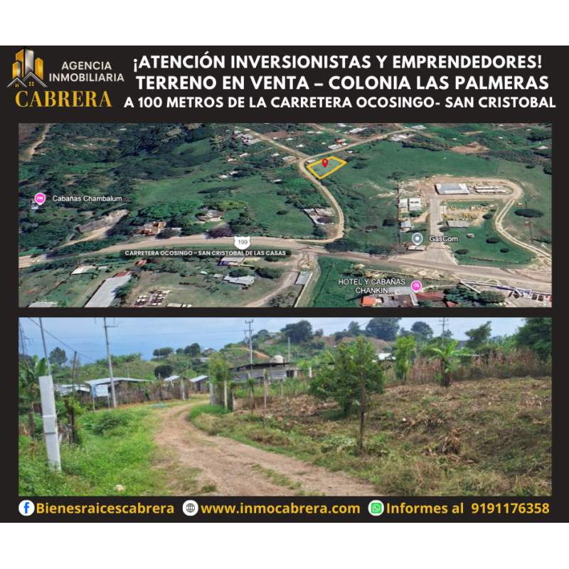 COLONIA LAS PALMERAS, OCOSINGO CHIAPAS COLONIA LAS PALMERAS, OCOSINGO CHIAPAS