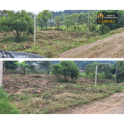 COLONIA LAS PALMERAS, OCOSINGO CHIAPAS